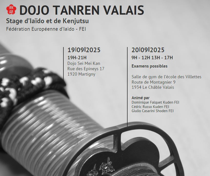 Stage de Iaïdô MSR et Kenjutsu en Valais